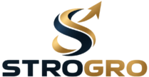chatgpt image 4 sep. 2026 13 38 28